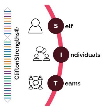 BrightPath SIT Framework showing Self, Individual, and Team